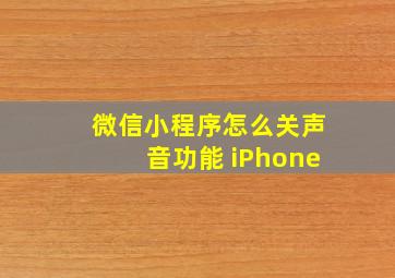 微信小程序怎么关声音功能 iPhone